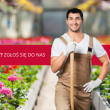 Pracownik szklarni – pielęgnacja roślin (K/M) - ogłoszenia 2377928 | nSwiecie.pl