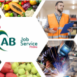 OPERATOR REACHTRUCK’A W HOLANDII (M/K) - ogłoszenia 2378230 | nSwiecie.pl