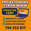 Projekty stron www, Wordpress/ Bez zaliczki/ Bezpłatne poprawki - ogłoszenia 2399837 | Tygodnik Płocki