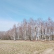 Sprzedam Działki Rolne  - ogłoszenia 2553725 | Tygodnik Płocki