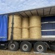 Słoma z dowozem  - ogłoszenia 2360801 | ePrzasnysz.pl