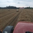 Słoma, bele  - ogłoszenia 2371272 | ePrzasnysz.pl