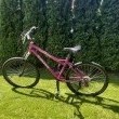 Rower  - ogłoszenia 2373201 | ePrzasnysz.pl