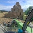 Sprzedam bele słomy - 130 i 150 cm - ogłoszenia 2374739 | ePrzasnysz.pl