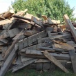 Sprzedam drzewo  - ogłoszenia 2380033 | ePrzasnysz.pl