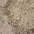 Oddam ziemię z wykopu piasek  - ogłoszenia 2541178 | ePrzasnysz.pl