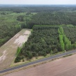 Las 7,47 ha sosna 60-100 lat - ogłoszenia 2554875 | ePrzasnysz.pl