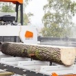 Tartak objazdowy - obwoźny  - ogłoszenia 2555083 | ePrzasnysz.pl
