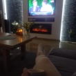 Sprzedam 2 pokojowe mieszkanie w Kartuzach - ogłoszenia 2530633 | Kartuzy.info