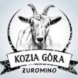 Zatrudnimy Stróża/pracownik Gospodarczy/konserwator /Camping - ogłoszenia 2533713 | Kartuzy.info