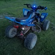 Quad Shineray 250cc Polecam Mocny i Zrywny Tel: 792-388-990 - ogłoszenia 2535468 | Kartuzy.info
