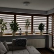 Rolety .plisy. moskitiery. Na każdy wymiary!!! - ogłoszenia 2548775 | Kartuzy.info
