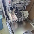 Sprzedam zmywarkę firmy Bosch - ogłoszenia 2554586 | Kartuzy.info