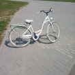 Sprzedam rowery 28cali  - ogłoszenia 2555909 | Kartuzy.info