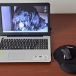 Laptop ASUS 15 - ogłoszenia 2303117 | NowaGazeta.pl