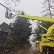 WYNAJEM PODNOŚNIKÓW KOSZOWYCH - ogłoszenia 2280319 | NowaGazeta.pl