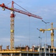 PRACA W BELGII – ZBROJARZE I CIEŚLE SZALUNKOWI POSZUKIWANI - ogłoszenia 2340112 | Konecki24.pl