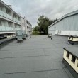Hydroizolacja dachy,tarasy,papa term, membrana PVC  - ogłoszenia 2384845 | gpr24.pl