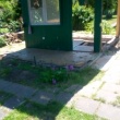 Rozbiórki Małe - Demontaże.Kompleksowo.Warszawa i bliskie okolice. - ogłoszenia 2549151 | Portal Wesołej 