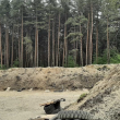 Kupię ziemię rolną do 5 ha. - ogłoszenia 766185 | e-Sochaczew.pl