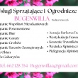 USŁUGI SPRZĄTAJĄCE I OGRODNICZE BUGENWILLA PAULINA KRAWCZYK  - ogłoszenia 801496 | e-Sochaczew.pl