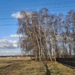 Działka budowlana 1500m MPZ - ogłoszenia 850562 | e-Sochaczew.pl