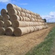 Ogłoszenie: Sprzedam Bele słomy o średnicy 130-150 cm 