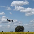 Opryski dronem - ogłoszenia 850463 | e-kg.pl