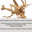KUPIĘ KORZENIE DRZEW - ogłoszenia 750696 | goral24.pl