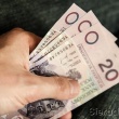 Pozyczki bez bik, dla zadluzonych, online - cala Polska - ogłoszenia 847929 | goral24.pl