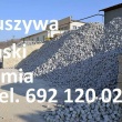 Usługi koparko ładowarka i minikoparka Rzeszów Tyczyn Budziwój - ogłoszenia 449706 | bp24.pl