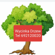 Wyćinka drzew Rzeszów Podkarpacie Budziwój Krasne Zaczernie tel 692120020 - ogłoszenia 307057 | bp24.pl