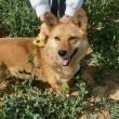 Spokojna Sally - ogłoszenia 850883 | zycie.pl
