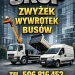 SKUP SAMOCHODÓW DOSTAWCZYCH BUS BUSY BUSÓW DOSTAWCZE WYWROTKI ZWYŻKI LAWETY CHŁODNIE 9 OSOBOWE - ogłoszenia 784431 | myslenice-itv.pl