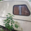 Sprzedam  - ogłoszenia 850837 | nowarzesnia.pl
