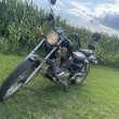 Yamaha Virago 535  - ogłoszenia 750515 | pilaonline.pl