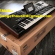 Korg Pa5X , Korg Pa4X , Korg PA-1000, Yamaha Genos , Yamaha PSR-SX900, Yamaha Montage 8, Roland FANTOM-8,  Pioneer XDJ-RX3 / Pioneer XDJ-XZ  / Pioneer OPUS-QUAD/ Pioneer CDJ-3000/ Pioneer DJM-A9 - ogłoszenia 443442 | gryfinska.pl