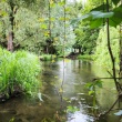 Agroturystyka nad rzeką Wel - Spływy kajakowe - Pole namiotowe - Maury - ogłoszenia 2365416 | iZyrardow.pl