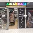 Wynajmę lokal w pasażu Kaufland na ul. Bardzkiej 1a  - ogłoszenia 848292 | tuWroclaw.com