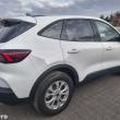 Ford Kuga - ogłoszenia 846636 | Tygodnik Siedlecki