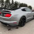 Ford Mustang 2.3 Eco Boost - ogłoszenia 846656 | Tygodnik Siedlecki