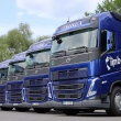 Ogłoszenie: Zatrudnię kierowcę C+E na trasy Polska - Hiszpania (zestaw VOLVO FH4 + CHŁODNIA)