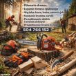 Piłowanie Łupanie Drewna Wycinki drzew lasu krzaków itd.. - ogłoszenia 813383 | Piszanin.pl