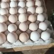 Sprzedam - ogłoszenia 813264 | Piszanin.pl