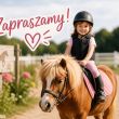 Zajęcia z końmi i kucykami dla dzieci - ogłoszenia 813123 | Piszanin.pl