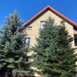 Dom na Mazurach sprzedam - ogłoszenia 834074 | Piszanin.pl