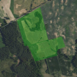 29 hektarów Gmina Biała Piska - ogłoszenia 839352 | Piszanin.pl
