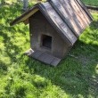 Oddam budę dla psa  - ogłoszenia 841820 | Piszanin.pl
