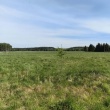 Sprzedam działkę  - ogłoszenia 842790 | Piszanin.pl