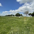  Działki 3000 m² w-z  - ogłoszenia 843804 | Piszanin.pl